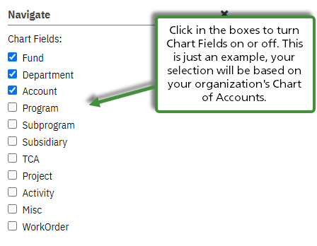 Financial Statements Chart Field Options