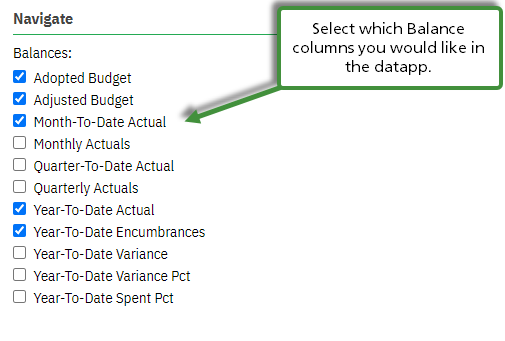 Financial Statements Balances Options