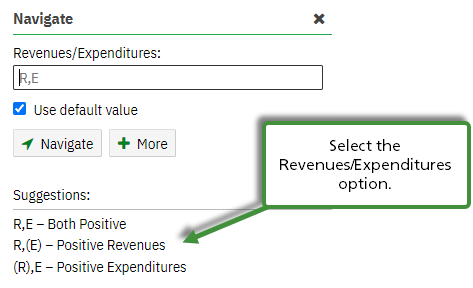 Financial Statements Rev/Exp Options